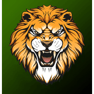 LSYN emblem