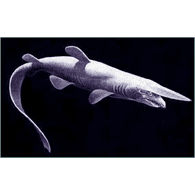 FISHR emblem