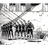 LWALK emblem