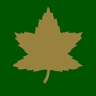 4CAD emblem