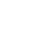 ALLY emblem