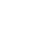 ALLY emblem