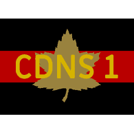 CDNS1 emblem