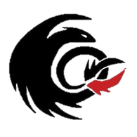 F-NOC emblem