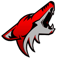 CYS emblem