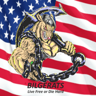 B-RAT emblem