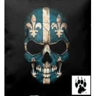 46232 emblem
