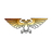 VTS emblem
