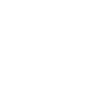 22CAL emblem