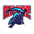 DIVI emblem