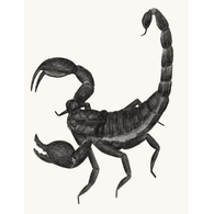TINY emblem
