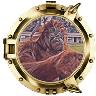RAGE- emblem