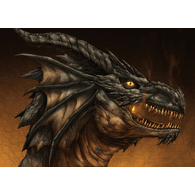 TIDRA emblem