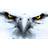 -_S_- emblem
