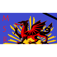 -MSR- emblem