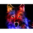 -LW- emblem