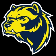 WOLVZ emblem