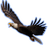 EAGL emblem
