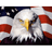 INTEG emblem
