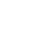 SSDD_ emblem