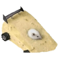 CHEES emblem