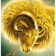 ARGON emblem