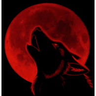 B_PAK emblem