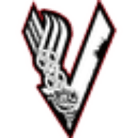 VIKNG emblem