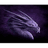 MYPS emblem