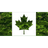 1FBRC emblem