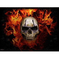 FKTS emblem