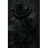 BROSE emblem