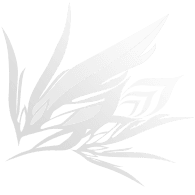 XYN emblem