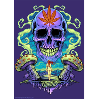 420C emblem