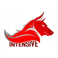 _INT_ emblem