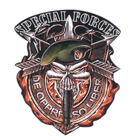 EZ_SF emblem