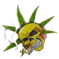 4-2-0 emblem