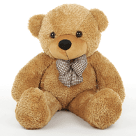 TEDDY emblem