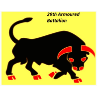 29ARD emblem