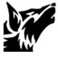 SKOLL emblem
