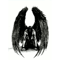 NAQC emblem