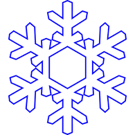 NVST emblem