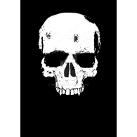 0WINS emblem