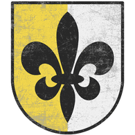 324TH emblem