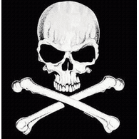 1ZAPR emblem