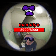 INV1L emblem