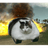 4LPH4 emblem