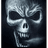 DRFLG emblem