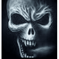 DRFLG emblem