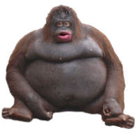 MONKE emblem